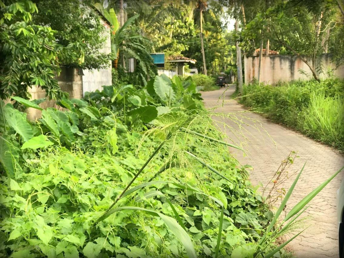 Monara Backpacker Inn Unawatuna Exteriér fotografie