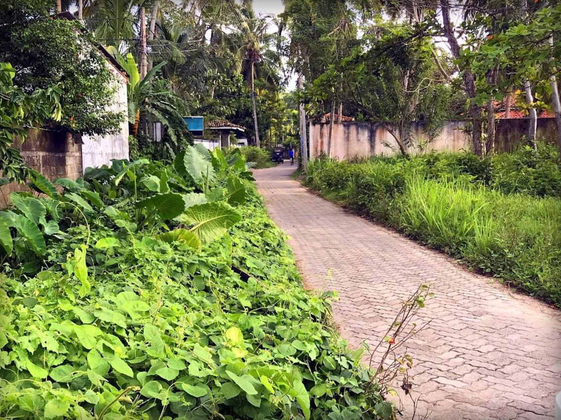 Monara Backpacker Inn Unawatuna Exteriér fotografie